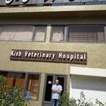 بیمارستان دامپزشکی کیش