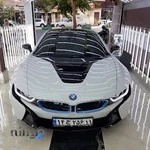 تشخیص رنگ قلی زاده