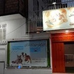 کلینیک حیوانات خانگی آلفا