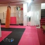 باشگاه رزمی پیشرو، به مدیریت نبی حمیدی