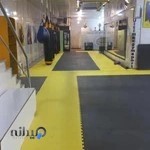 باشگاه ورزشی التیمکس