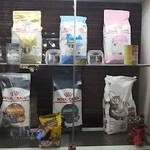 تهران پت لند