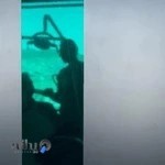 دکتر کاوان یغموری