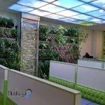 Zehn Bartar Iranian Clinic