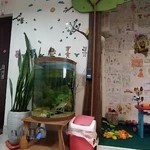 دندانپزشکی دکتر محسن حدادی