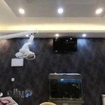 متخصص ارتودنسی دکتر ستار کبیری