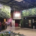 شمیران سنتر