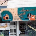 لاوین پت - lavin pet