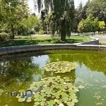 کلینیک دامپزشکی دانشگاه رازی