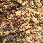 غذای خشک سگ