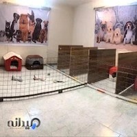 پانسیون سگ پت پلاس