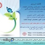 خانم دکتر فاطمه تبریزی ، شهر مجازی کودشا