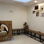 کلینیک دامپزشکی ساقدوش