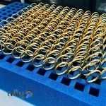 پویندگان سلامت پاسارگاد