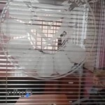 C.Talk Language Institute Janatabad Branch