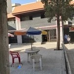 موسسه زبان گاما