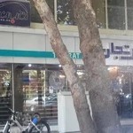 رادیولوژی فک و صورت دکتر جعفری