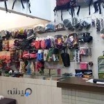 کوهنوردی آلپ