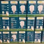 کالای برق نورگستران دز