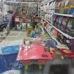 پت شاپ کالینا خیابان اسکندری شمالی