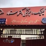 Dr.Ostad Veterinary Clinic کلینیک دامپزشکی دکتر استاد