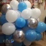 تم تولد سارانیتا