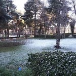 شهرداری کرمانشاه