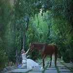 آتلیه فانوس شرق