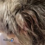 Humak Pet Clinic And Petshop