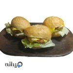 فینگر فود شادونک