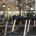 باشگاه بدنسازى جوان ٣