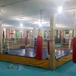 باشگاه بوکس کلی