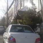 استخر و تالار شاهین