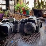 فروشگاه خانه دوربین مراغه