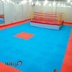 سعادت کیماسی باشگاه آرمین, هاپکیدو کاراته