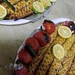 تهیه غذای پارسیان نو