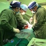 دکتر علی شجاعی