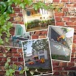 پیش دبستان و دبستان دخترانه فرزانگان پویا