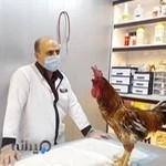 کلینیک دامپزشکی دکتر وحید شمس نصرتی