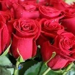 سالن ارایش عروس ماهور