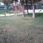 بوستان بانوان