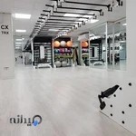 باشگاه آویر