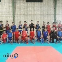 آکادمی ووشو پرانا