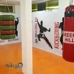 باشگاه رزمی آرش