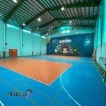 مجموعه ورزشی