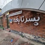 دبستان و پیش دبستانی تمام هوشمند پسر نابغه