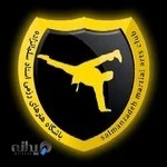 باشگاه هنرهای رزمی استاد سلمان زاده