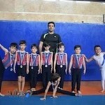 ژیمناستیک آریا تهرانسر