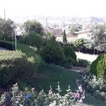 رستوران لاله سپاه