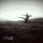 باشگاه کونگ فو تایگر